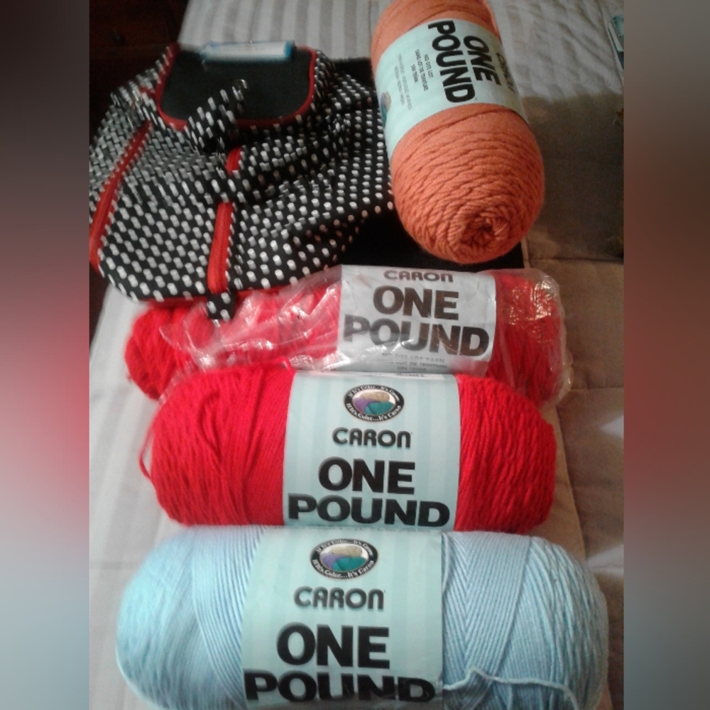 Lot of One Pound Caron Yarns and Yarn Duffle Bag NEW